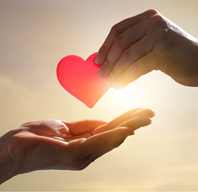 Donate money image