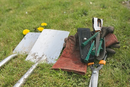 Gardening image